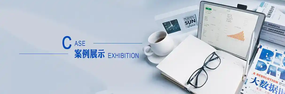 饶阳县软件开发